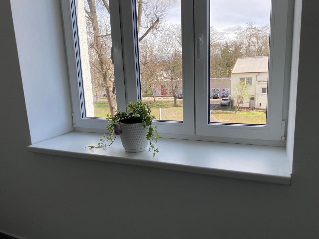 Apartmán Perla Hradce 101 Hradec Králové Exteriér fotografie